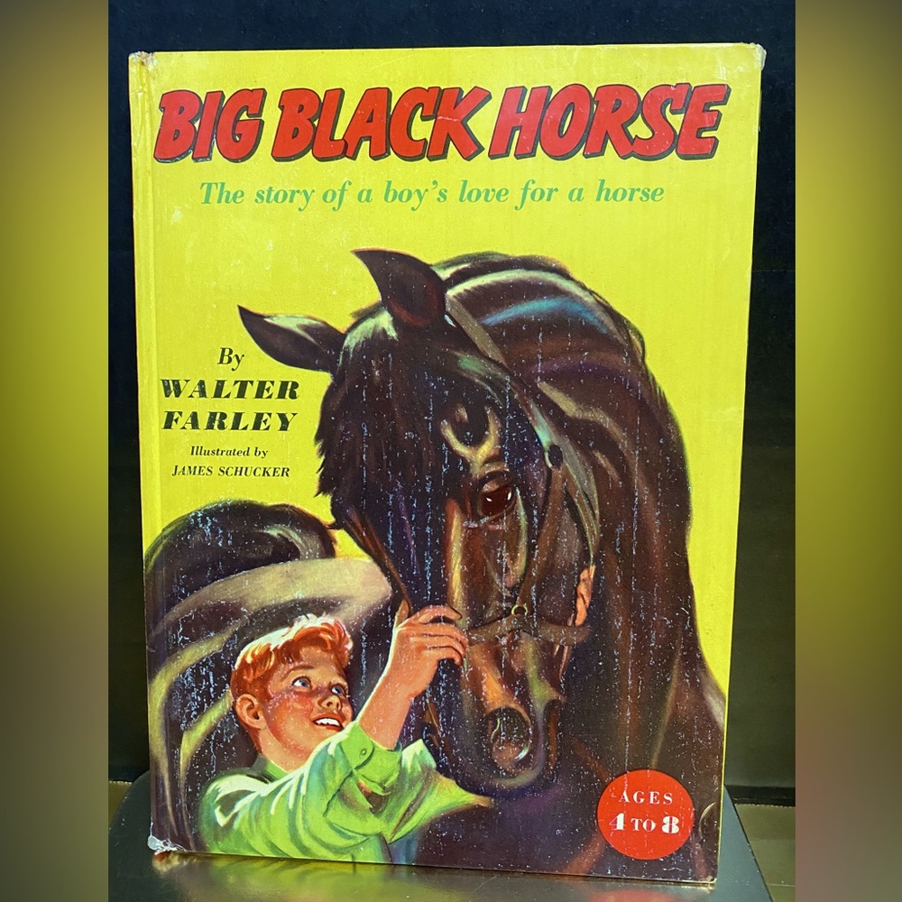 THE BIG BLACK HORSE VINTAGE 1953 HARDCOVER STORYBOOK OF A BOY’S LOVE FOR A HORSE